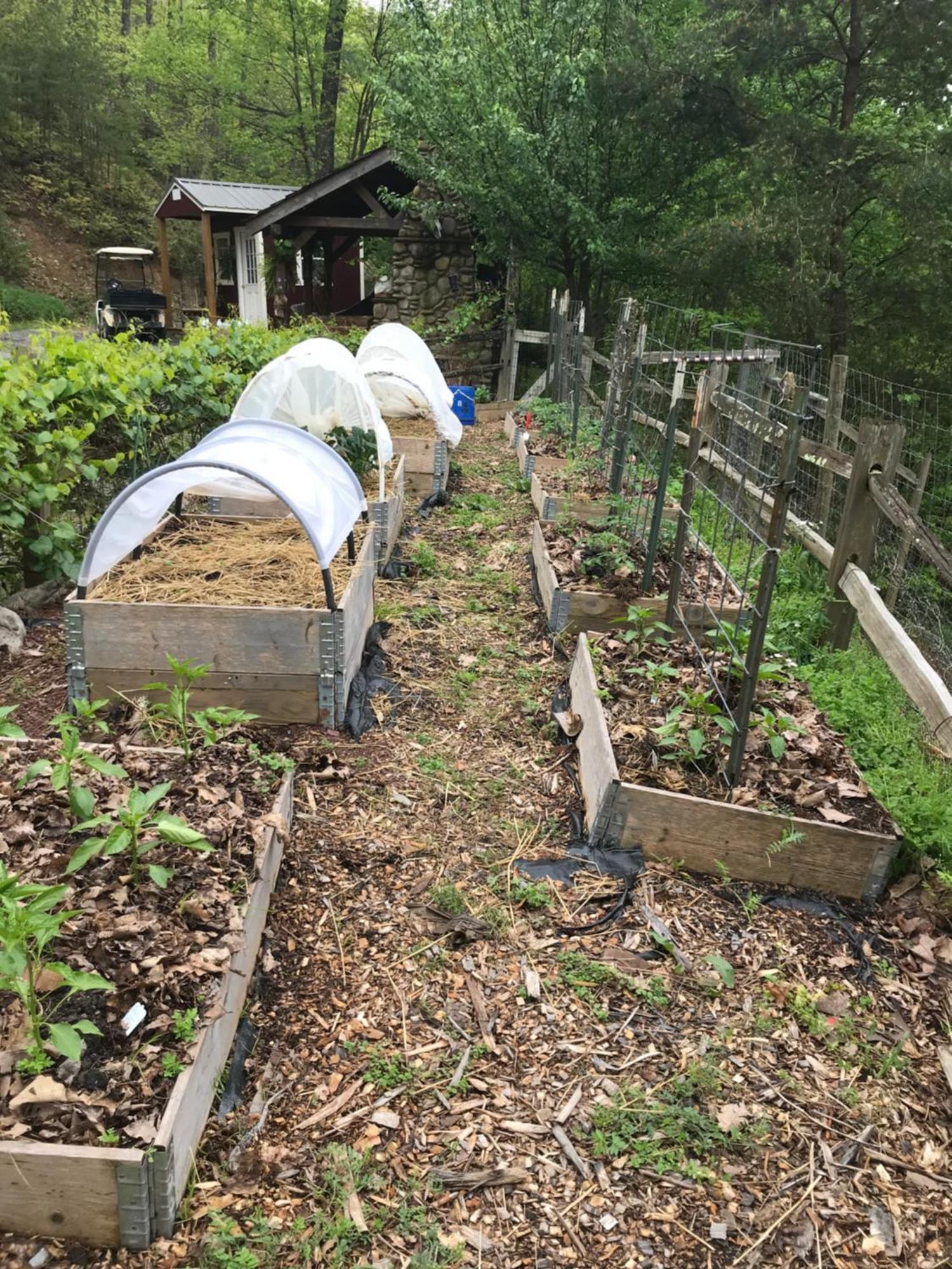 Homestead Retreat نيوبورت المظهر الخارجي الصورة